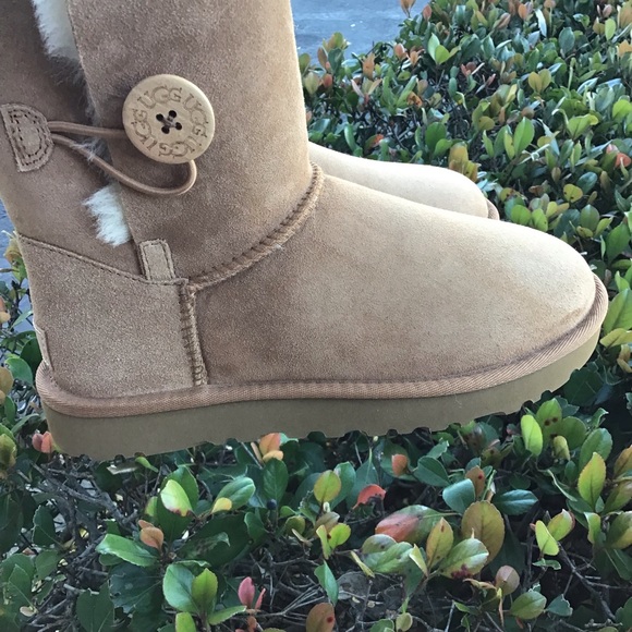 UGG BAILEY BUTTON II SHORT CHESTNUT New in Box - Picture 10 of 11